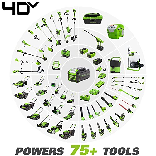 Greenworks 40V 8 in Brushless Edger With 4.0Ah USB Battery And Charger