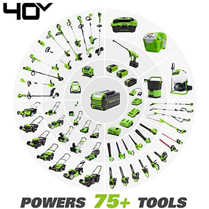 Greenworks 40V 8 in Brushless Edger With 4.0Ah USB Battery And Charger